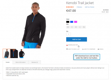 PDF download icon & text link