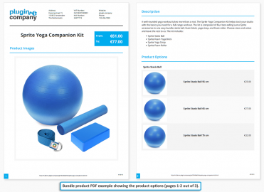 Bundle product PDF example
